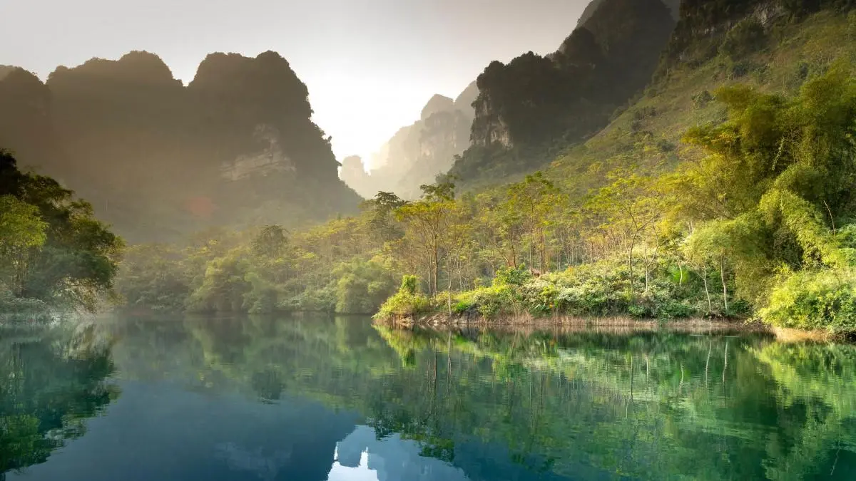 高性能高质量创意
